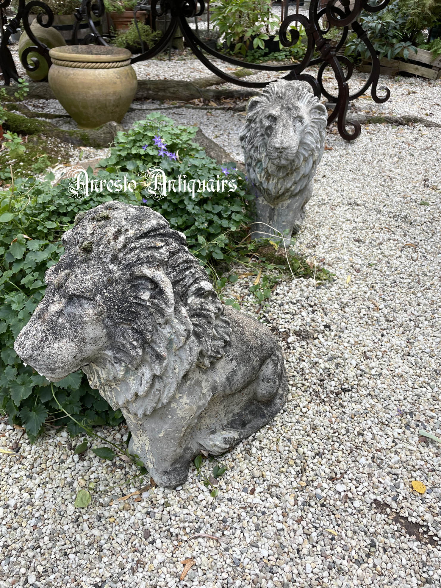 ~klik vergroting antiek beeld ~ 2 antieke Franse kleine leeuwen 